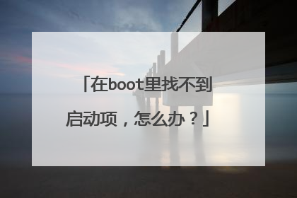 在boot里找不到启动项，怎么办？