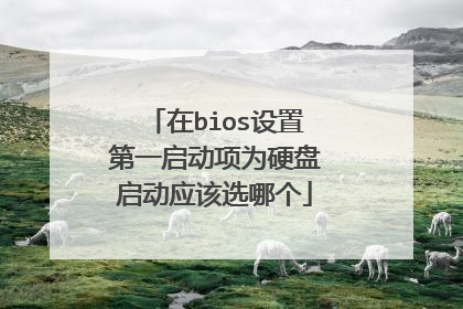 在bios设置第一启动项为硬盘启动应该选哪个