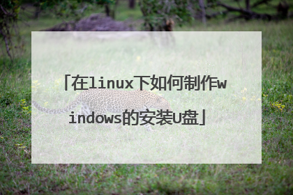在linux下如何制作windows的安装U盘