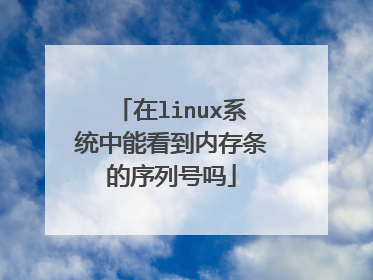 在linux系统中能看到内存条的序列号吗