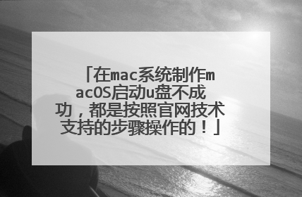 在mac系统制作macOS启动u盘不成功，都是按照官网技术支持的步骤操作的！