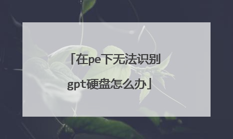 在pe下无法识别gpt硬盘怎么办