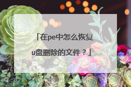 在pe中怎么恢复u盘删除的文件？