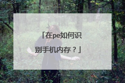 在pe如何识别手机内存？