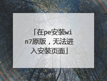 在pe安装win7原版,无法进入安装页面