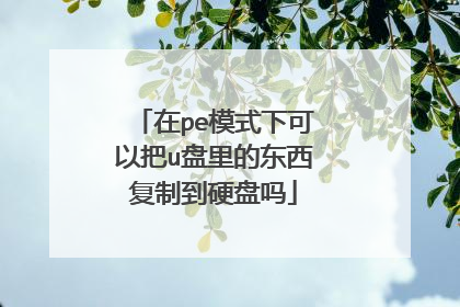 在pe模式下可以把u盘里的东西复制到硬盘吗
