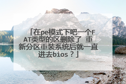 在pe模式下吧一个FAT类型的区删除了 重新分区重装系统后就一直进去bios?