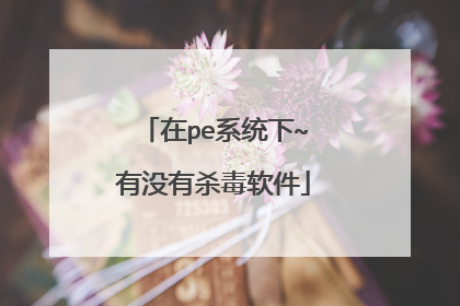 在pe系统下~有没有杀毒软件