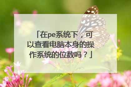 在pe系统下,可以查看电脑本身的操作系统的位数吗?