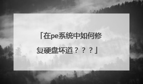 在pe系统中如何修复硬盘坏道？？？