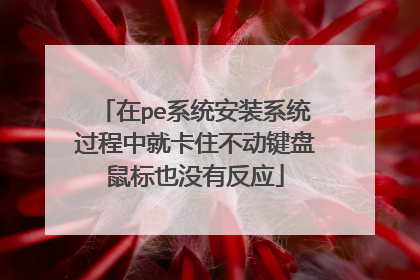 在pe系统安装系统过程中就卡住不动键盘鼠标也没有反应