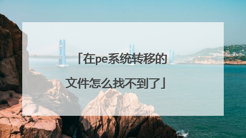 在pe系统转移的文件怎么找不到了