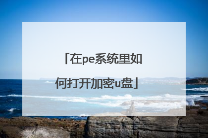 在pe系统里如何打开加密u盘