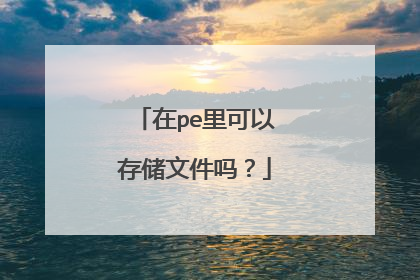 在pe里可以存储文件吗?