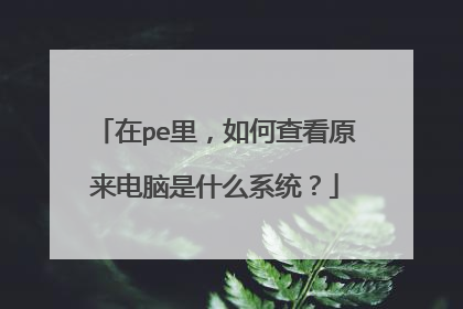 在pe里，如何查看原来电脑是什么系统？