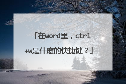在word里，ctrl+w是什麽的快捷键？