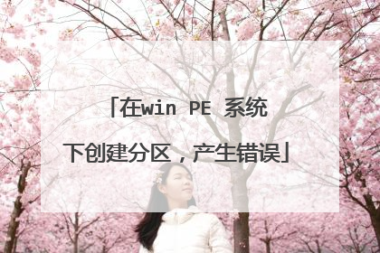 在win PE 系统下创建分区，产生错误
