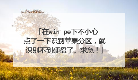 在win pe下不小心点了一下识别苹果分区,就识别不到硬盘了。求急!