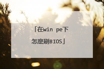 在win pe下怎麽刷BIOS