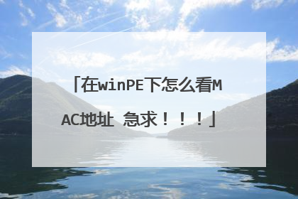 在winPE下怎么看MAC地址 急求！！！