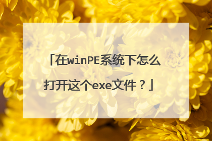 在winPE系统下怎么打开这个exe文件?