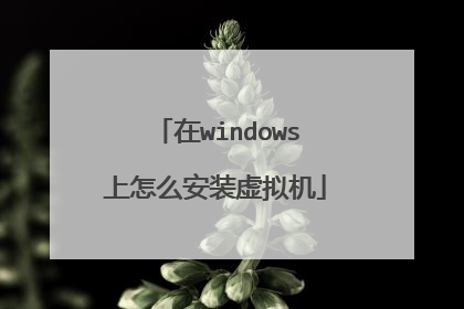 在windows上怎么安装虚拟机