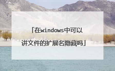 在windows中可以讲文件的扩展名隐藏吗