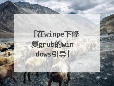 在winpe下修复grub的windows引导