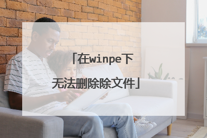 在winpe下无法删除除文件