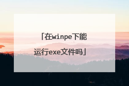 在winpe下能运行exe文件吗