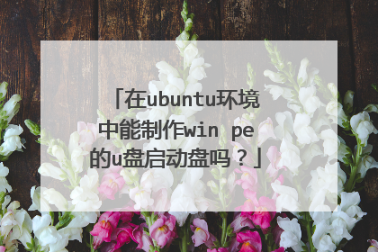 在ubuntu环境中能制作win pe的u盘启动盘吗?