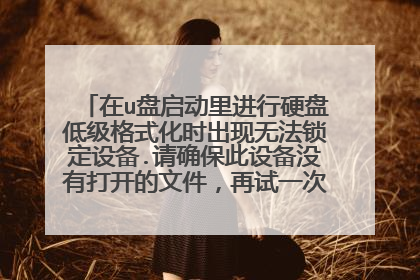在u盘启动里进行硬盘低级格式化时出现无法锁定设备.请确保此设备没有打开的文件,再试一次 怎么办 如?