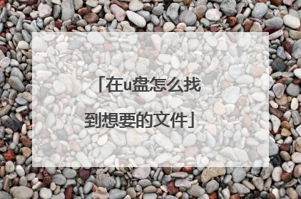 在u盘怎么找到想要的文件