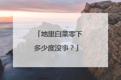 地里白菜零下多少度没事?