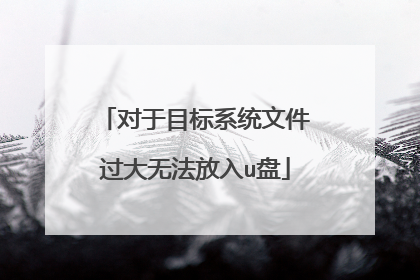 对于目标系统文件过大无法放入u盘
