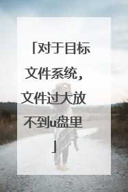 对于目标文件系统,文件过大放不到u盘里