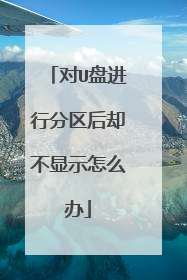 对U盘进行分区后却不显示怎么办