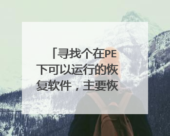 寻找个在PE下可以运行的恢复软件,主要恢复图片,表格。可以恢复格式化重新ghost系统后的。
