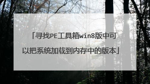寻找PE工具箱win8版中可以把系统加载到内存中的版本