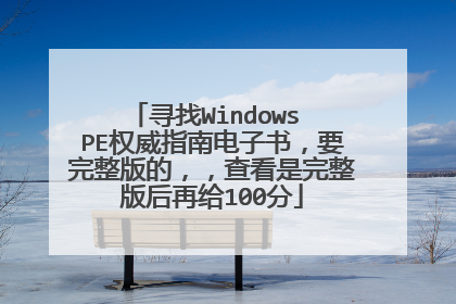 寻找Windows PE权威指南电子书，要完整版的，，查看是完整版后再给100分