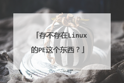 存不存在Linux的PE这个东西?
