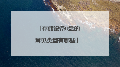 存储设备U盘的常见类型有哪些