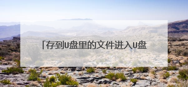 存到U盘里的文件进入U盘启动为什么显示不出来?