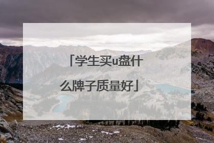学生买u盘什么牌子质量好
