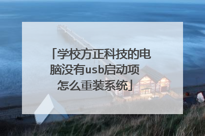 学校方正科技的电脑没有usb启动项怎么重装系统