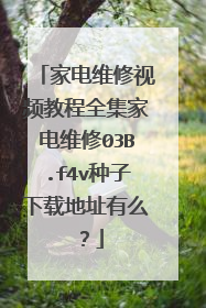 家电维修视频教程全集家电维修03B.f4v种子下载地址有么?