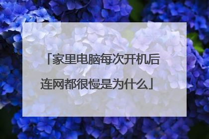 家里电脑每次开机后连网都很慢是为什么