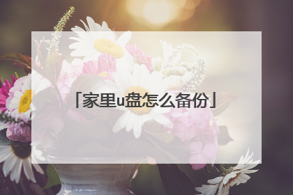 家里u盘怎么备份
