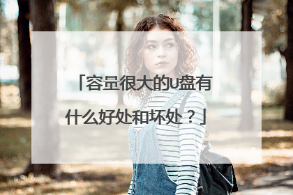 容量很大的U盘有什么好处和坏处?