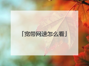 宽带网速怎么看